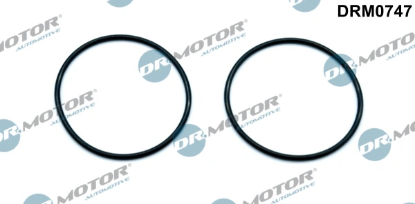 Gasket, vacuum pump